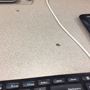 Meet your Posher, Mike